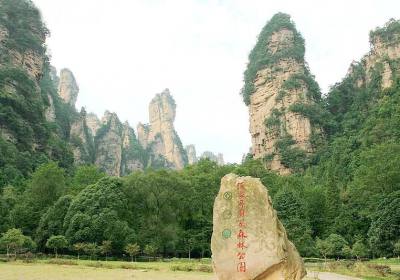 走湘西——張家界、鳳凰古城游記(一)