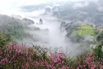 候鳥的選擇，彰顯湖南生態(tài)系統持續(xù)優(yōu)化